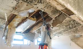 Mold Remediation for Vacation Homes in Red Bank, NJ